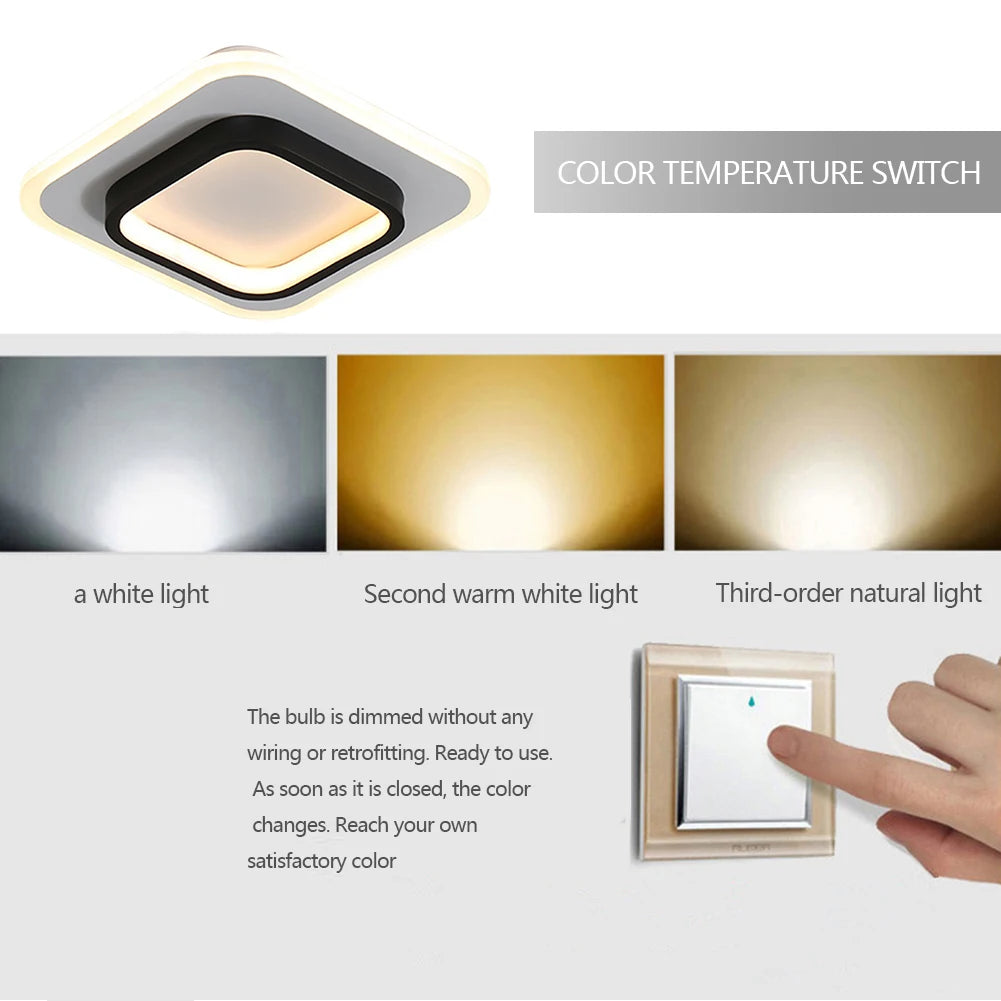 LED Ceiling Lamp Ceiling Chandeliers for Dining Room Nordic Hanging Lamps for Ceiling Bedroom Living Room Corridor Balcony Light