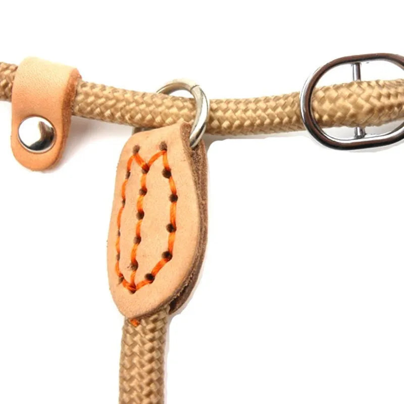 P Chain Dog Leash Slip Collar pet Walking Leads Nylon Dog Mountain Climbing Rope puppy pet Traction For small Medium Large Dogs