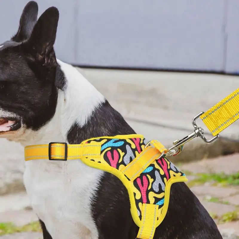 Dog Harness Reflective Adjustable Pet Vest Chest Strap Outdoor Training Walking Lead Harness Leashes