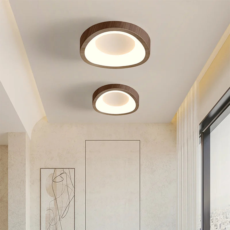 Nordic LED Ceiling Lamp For Living Dining Room Bedroom Aisle Cloakroom Balcony Ceiling Chandelier Indoor Decor Lighting Fixtures