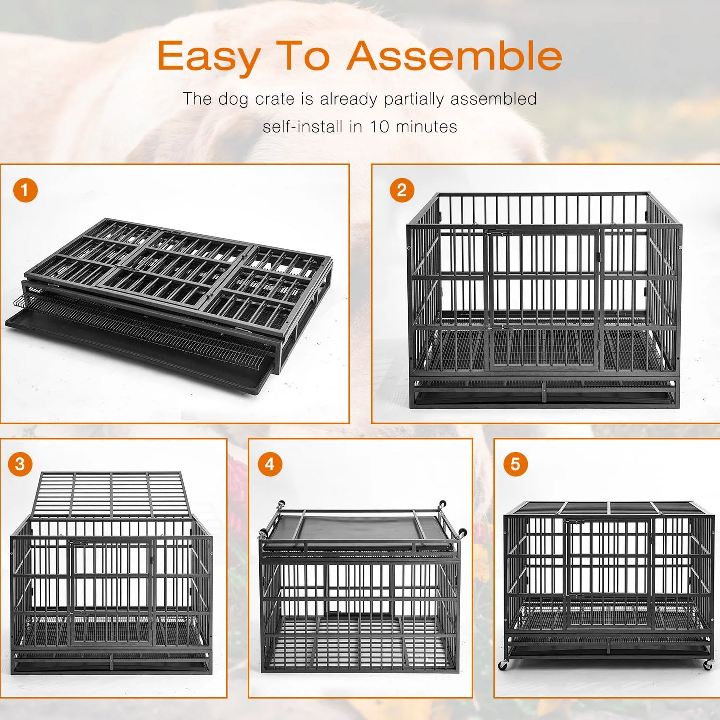 Dog Kennels Cages Heavy Duty Dog Cage Outdoor Strong Stainless Steel Enclosed Metal Wire Folding Crate Cage Pet