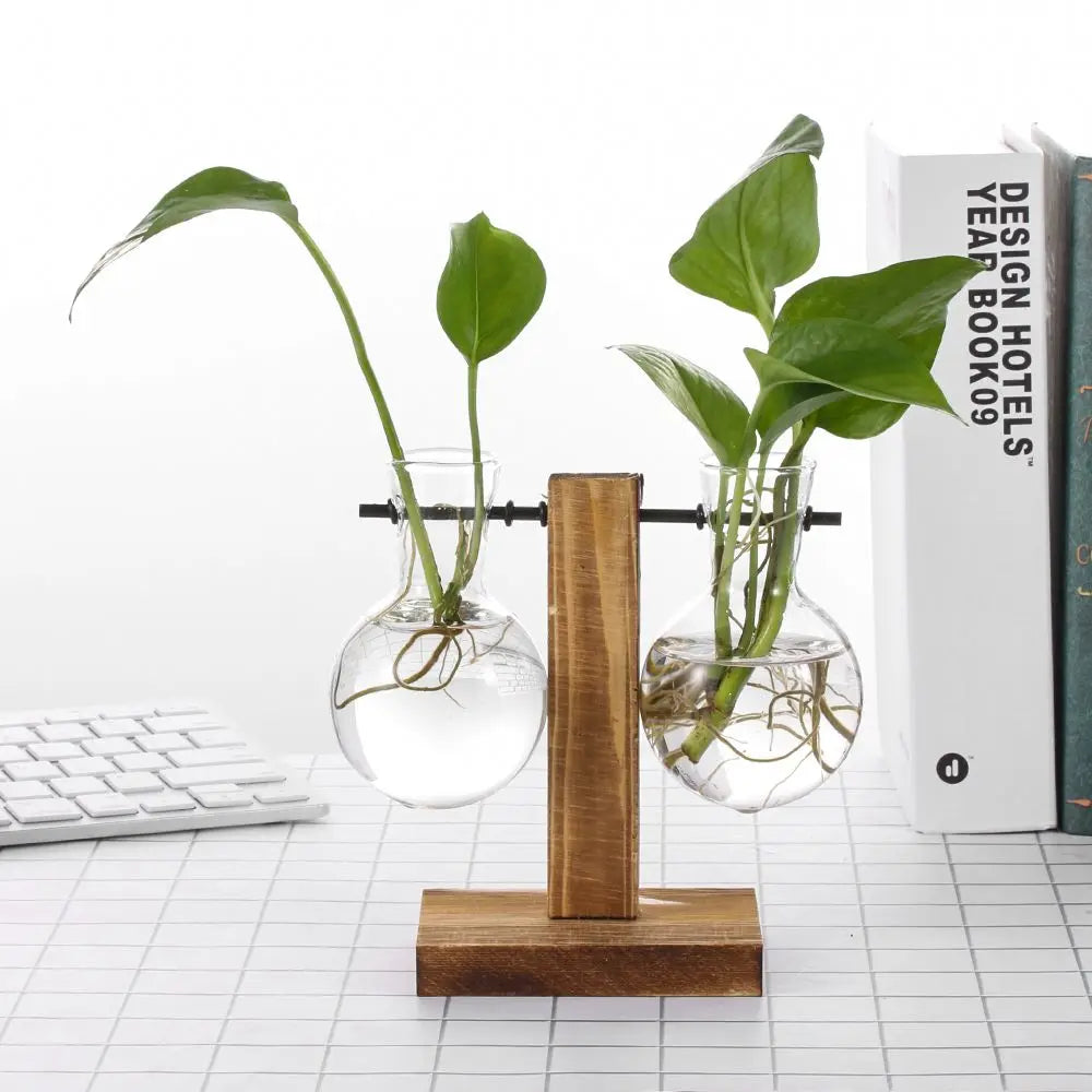 1Pc Hydroponic Plant Vases Vintage Glass Vase Bonsai Flower Pot Terrarium Tabletop Planter Tray Wooden Frame Home Decor Supplies