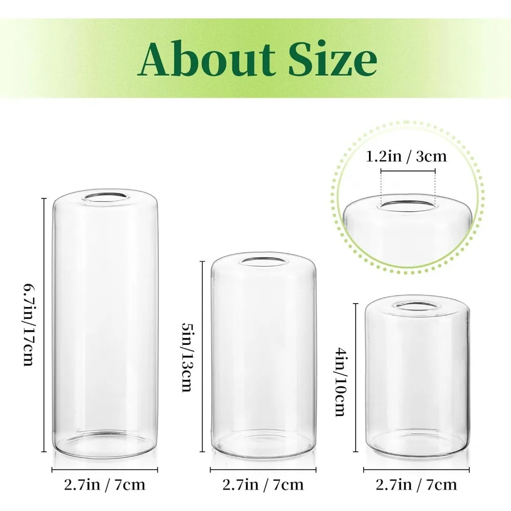 Small Glass Bud Vases for Centerpieces – 6pcs Clear Blown Single Flower Vases Bulk Home Decoration Wedding Table Decoration Vase