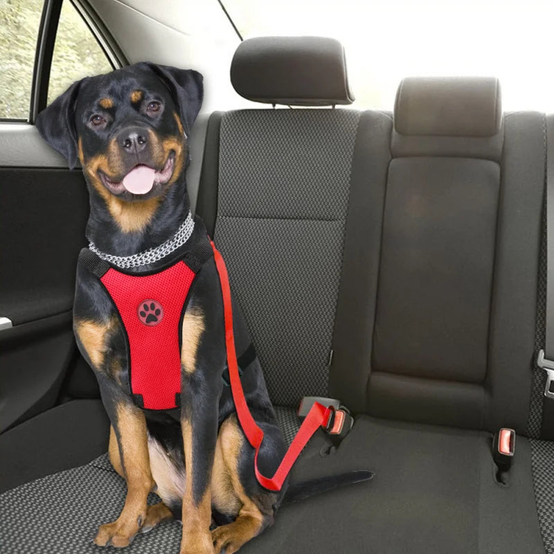 Dog Harness Leash Outdoor Training Dog Snack Bag Breathable Mesh with Adjustable Straps Car Automotive Seat Safety Belt