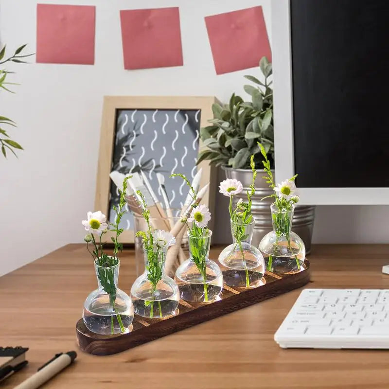 Glass Desktop Planter Bulb Vase Wooden Stand Hydroponic Plant Container Decor Living Room Office Plant Propagation Station