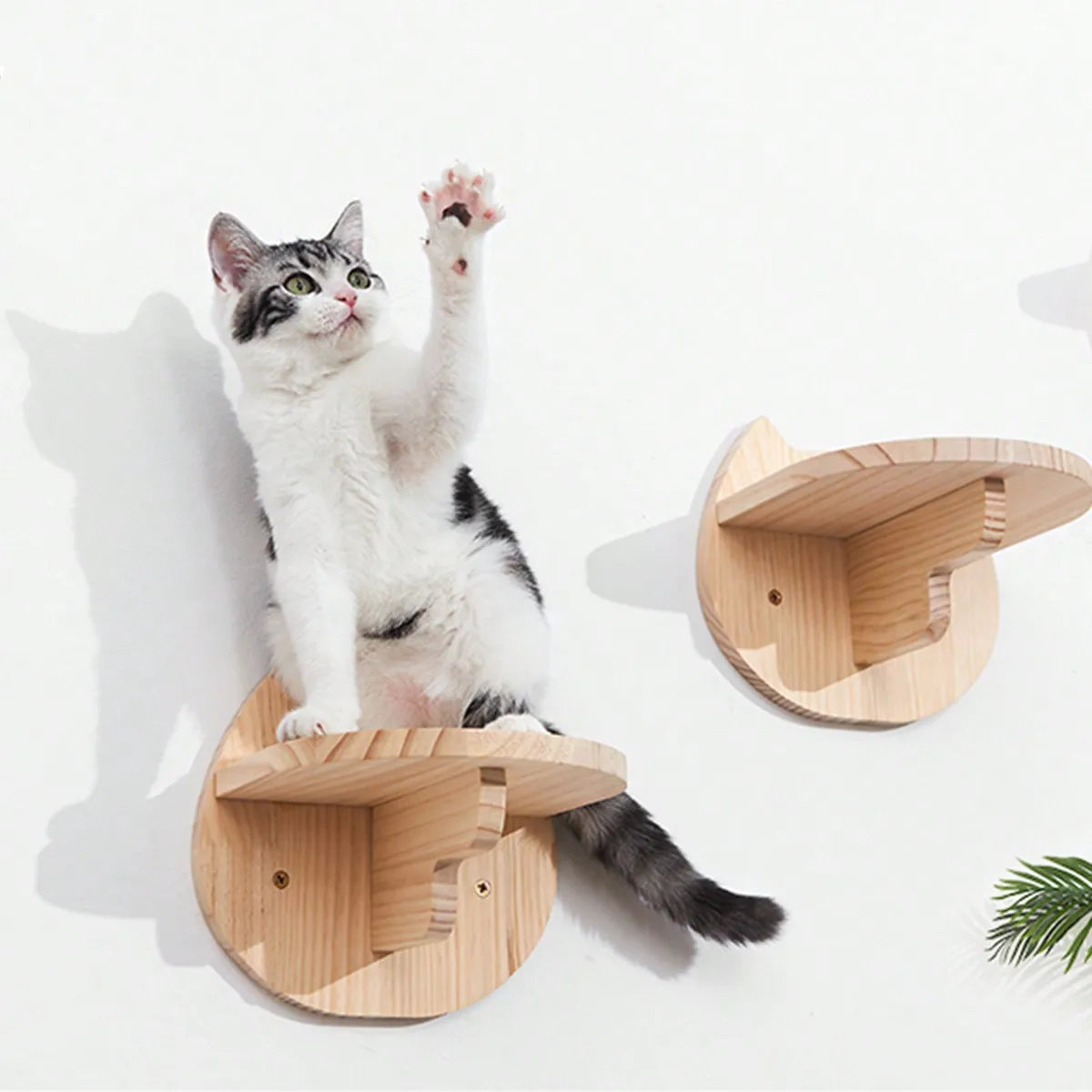 Cat Wall Furniture Floating Wall Shelf With Cat Scratching Post Climbing Perches Hammock Wall Steps For Sleeping Playing Rest