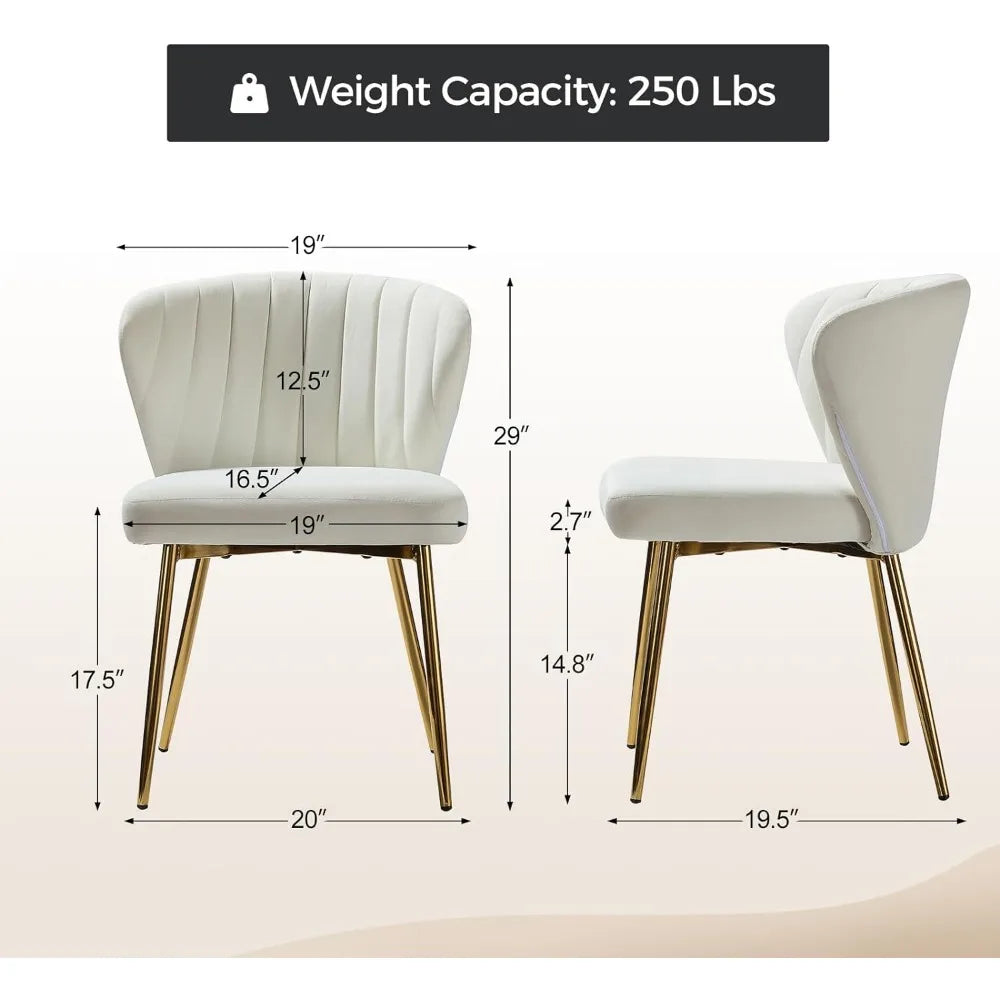 Velvet Dining Chair Modern Small Vanity Chair with Back Metal Legs Elegant Tufted Armless Accent Chair Living Room, Ivory