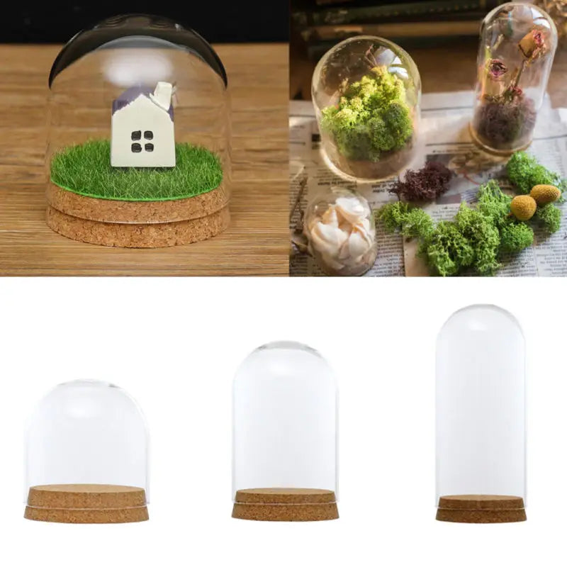 10-18cm Clear Glass Hemisphere Cover Glass Dome Covers Protect Dry Flower For Flower Succulent Plant Vase Wood Table Decor