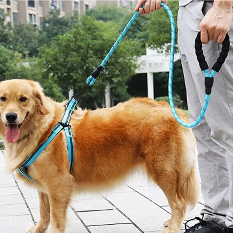 Reflective Dog Belt Pet Reflective Silk Traction Rope Reflective Nylon Suture at Night Dog Walking Rope