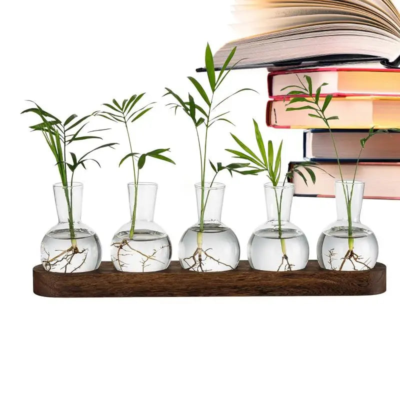 Glass Desktop Planter Bulb Vase Wooden Stand Hydroponic Plant Container Decor Living Room Office Plant Propagation Station