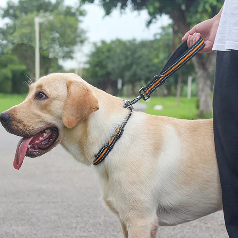 Dog Leash Short Dogs Leash Reflective Leashes for Large Dogs Walking Nylon Short Rope Car Seat Belts for Dog Traveling Pet Chain