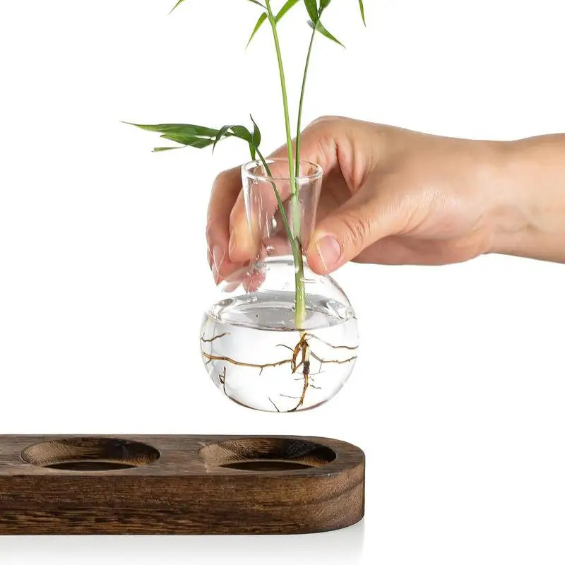 Glass Desktop Planter Bulb Vase Wooden Stand Hydroponic Plant Container Decor Living Room Office Plant Propagation Station